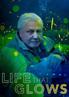 Живой свет с Дэвидом Аттенборо (2016)