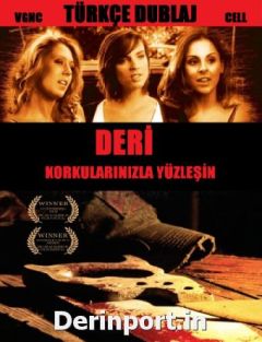 Фильм Шубнина (2010)