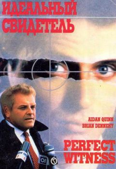 Фильм Идеальный свидетель (1989)